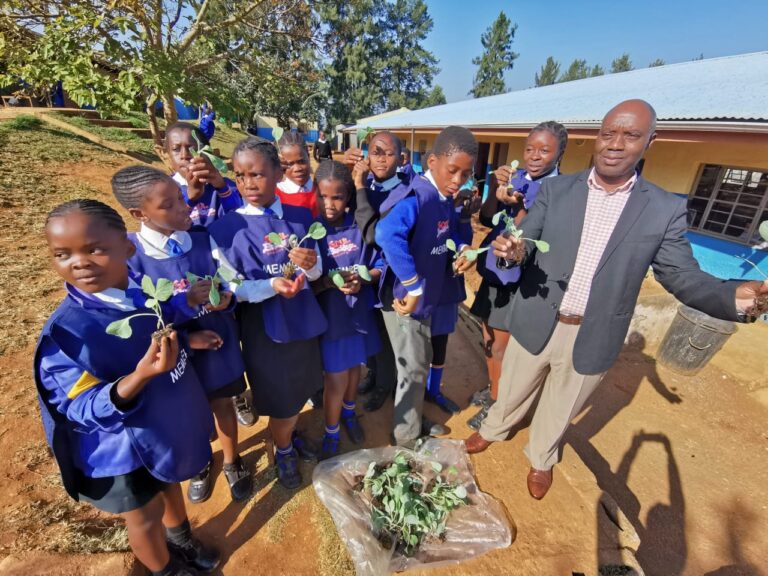 Visiting three schools to donate seedling plants and trees