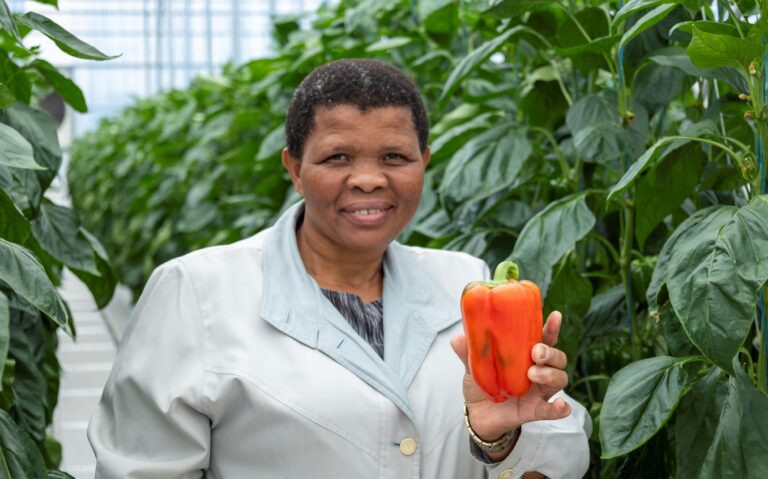 First Fruit picked in New Hothouse