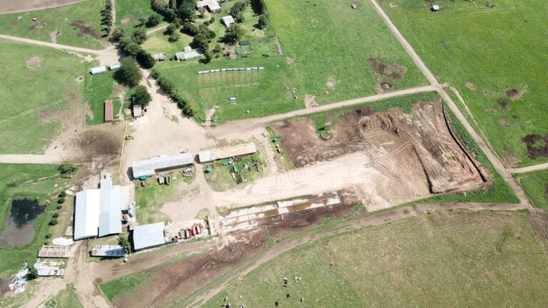 Emseni’s New Project: Building a Cow Shed!